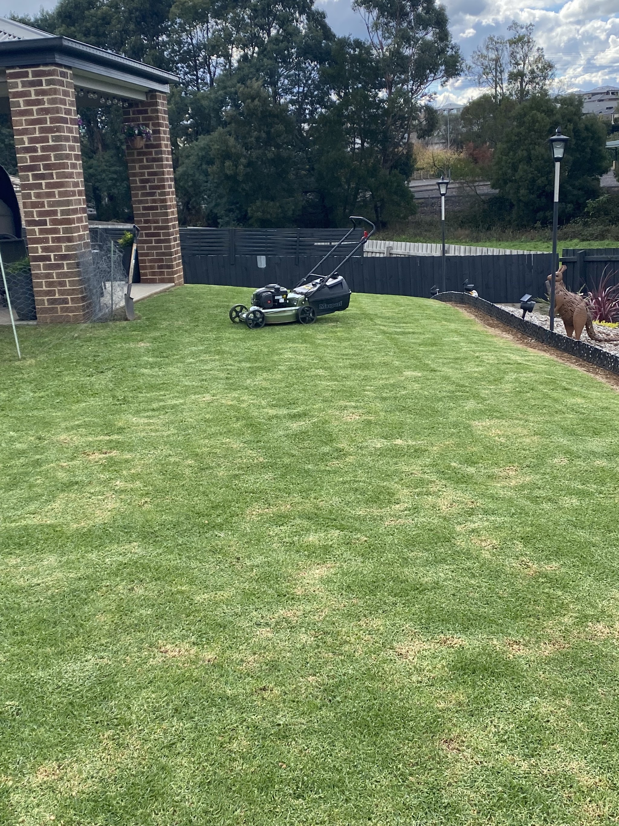 Backyard lawn with clean mowing stripes after a cut